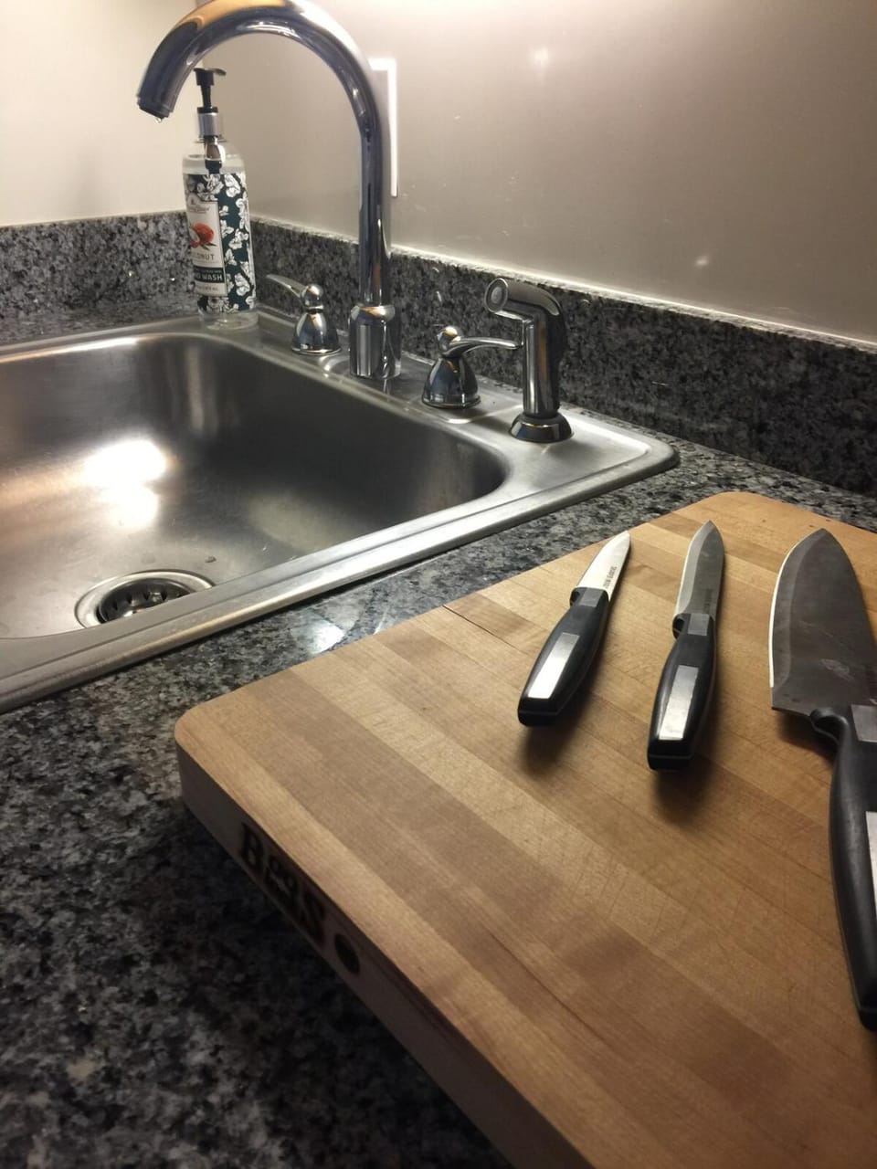 City Garden Studio Next to Beacon Hill and Back Bay Apartment in Beacon Hill