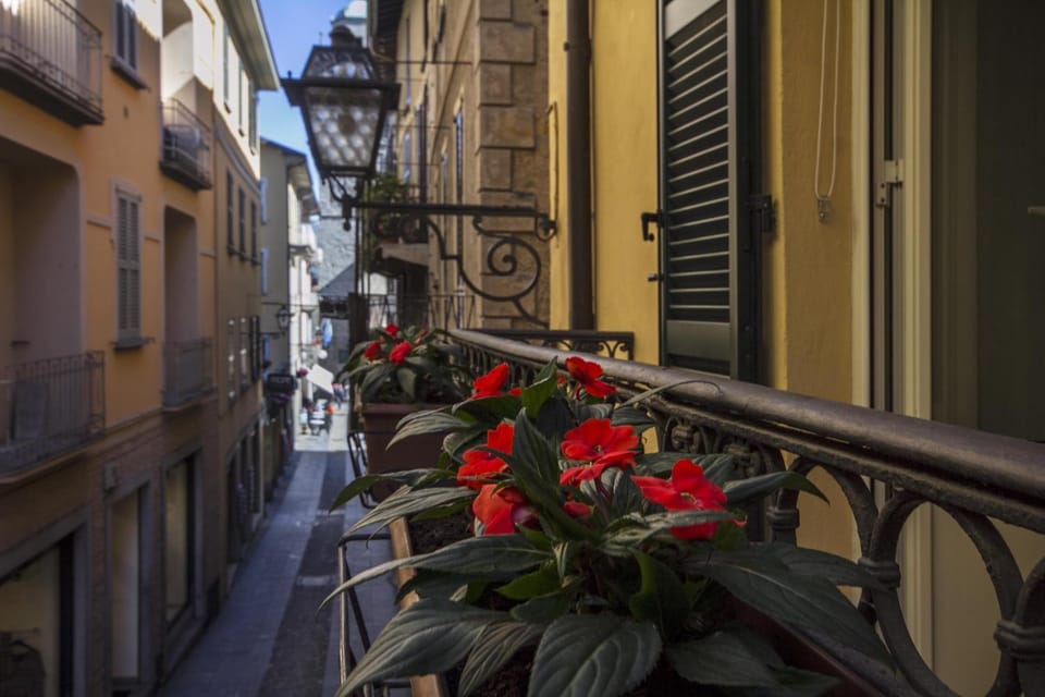 City view, Street view