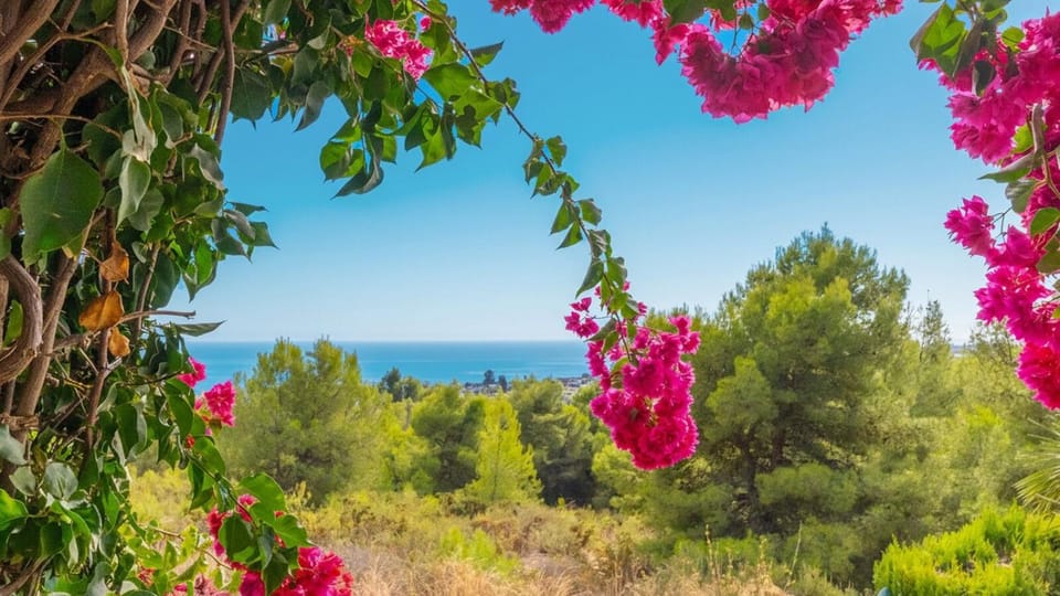 Sea view
