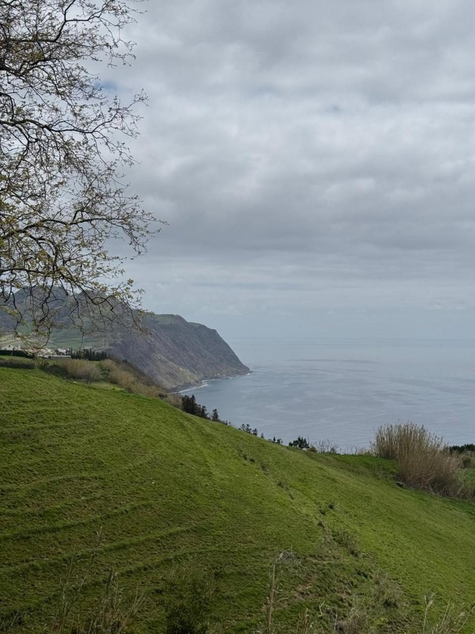 Azores Green Escape House in Azores District