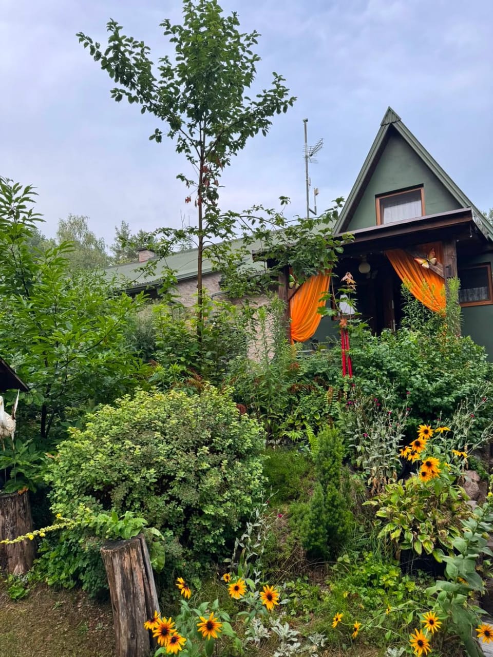 Property building, Garden, Garden view