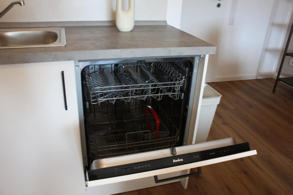 Kitchen or kitchenette, dishwasher