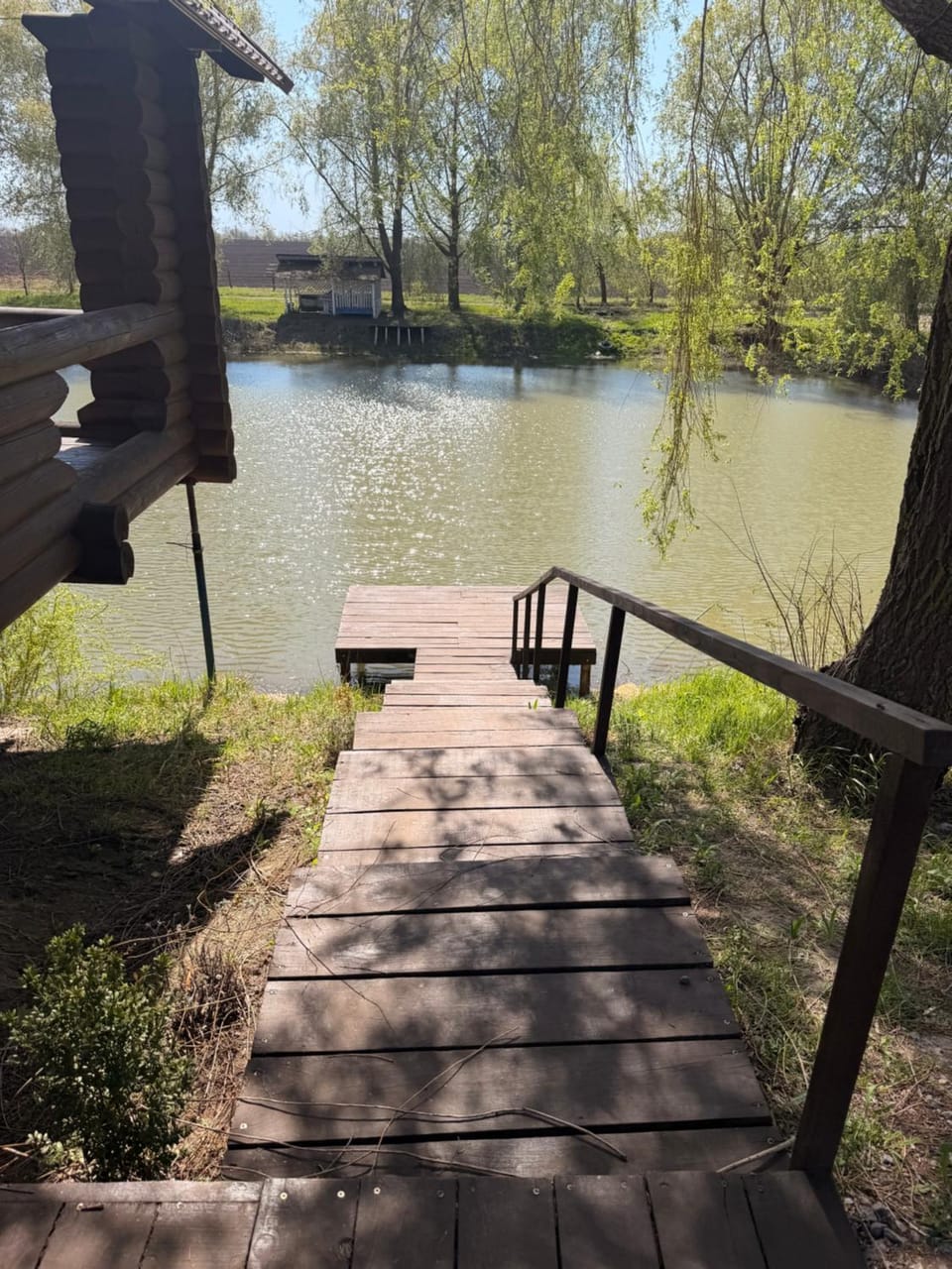 Lake view