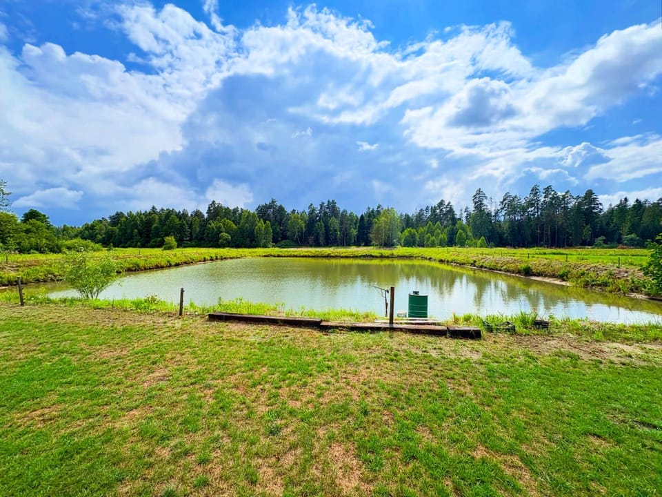 Spring, Day, Natural landscape, Lake view