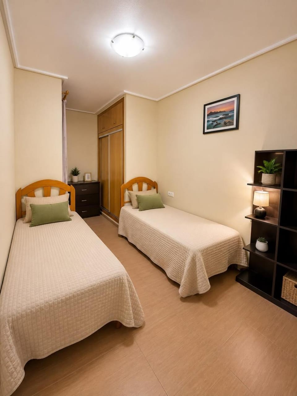 San pascual Camelias Apartment in Torrevieja