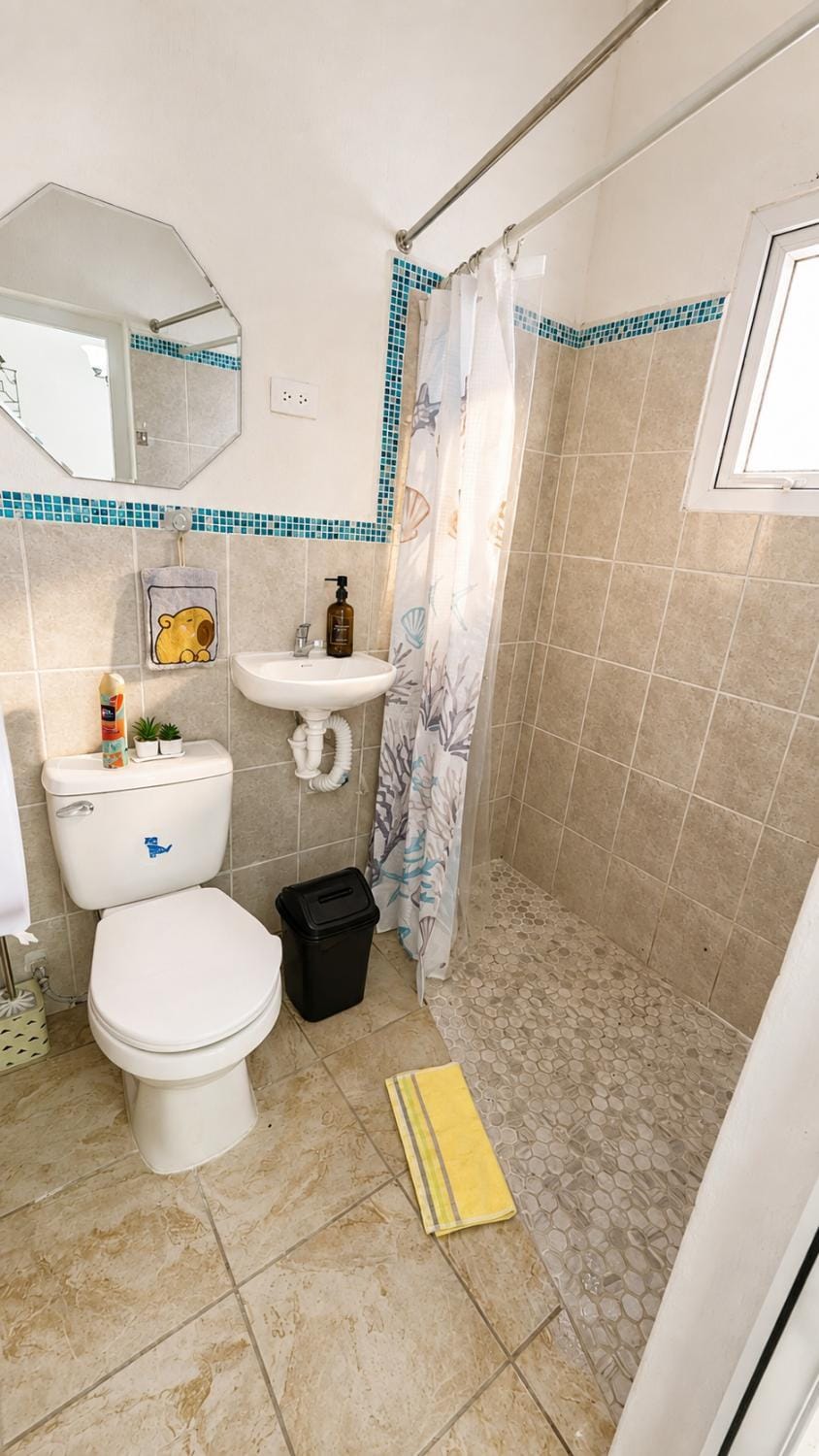 Shower, Bathroom, towels