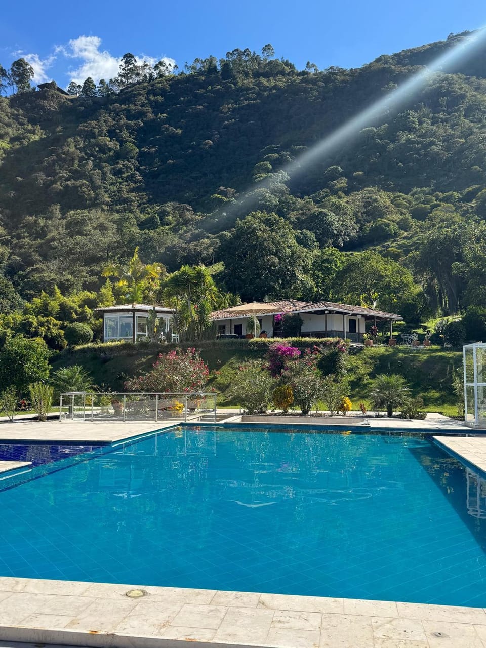Garden view