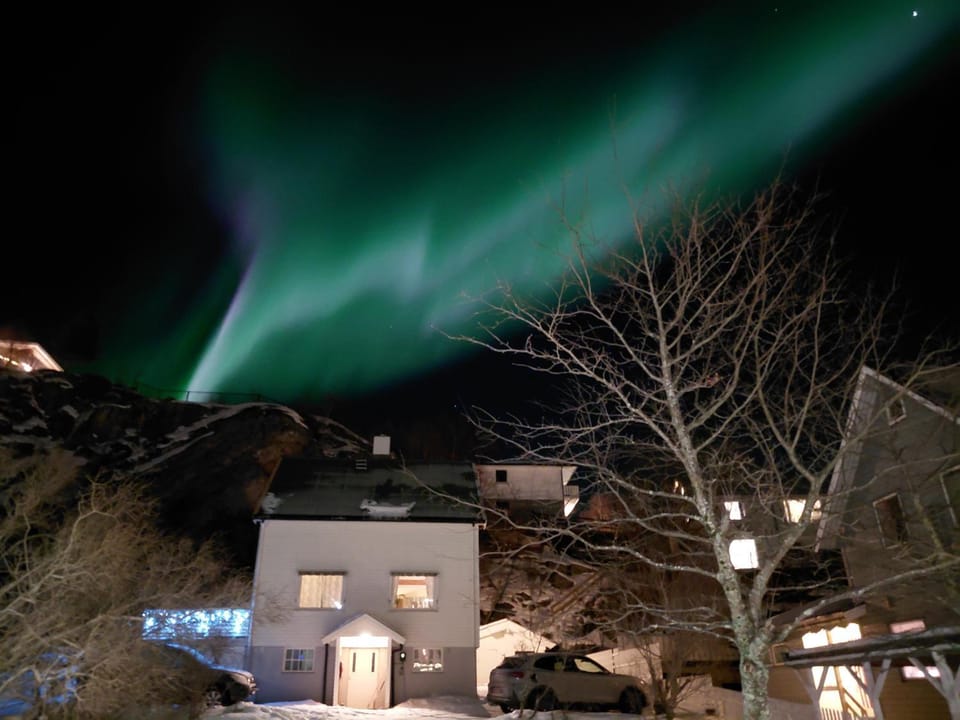 Siva's Apartment Apartment in Lofoten
