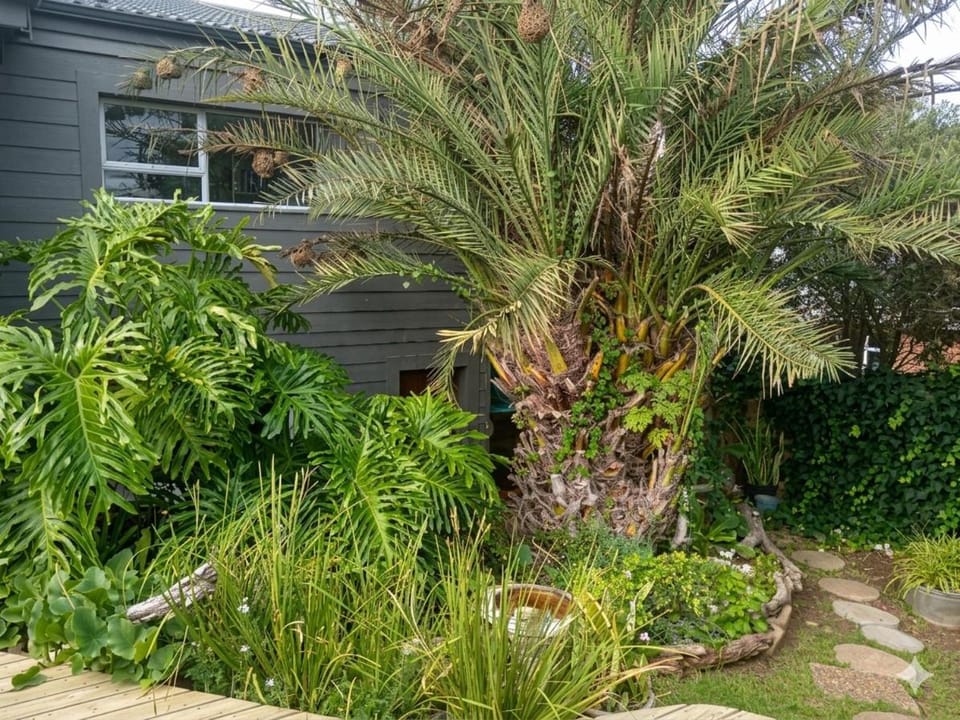 Garden, Balcony/Terrace