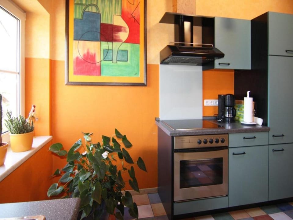 Kitchen or kitchenette, oven, stove
