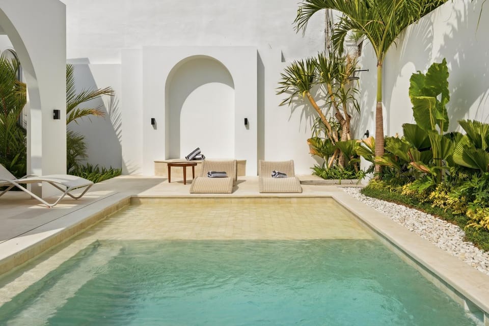 Garden, Garden, Swimming pool, sunbed