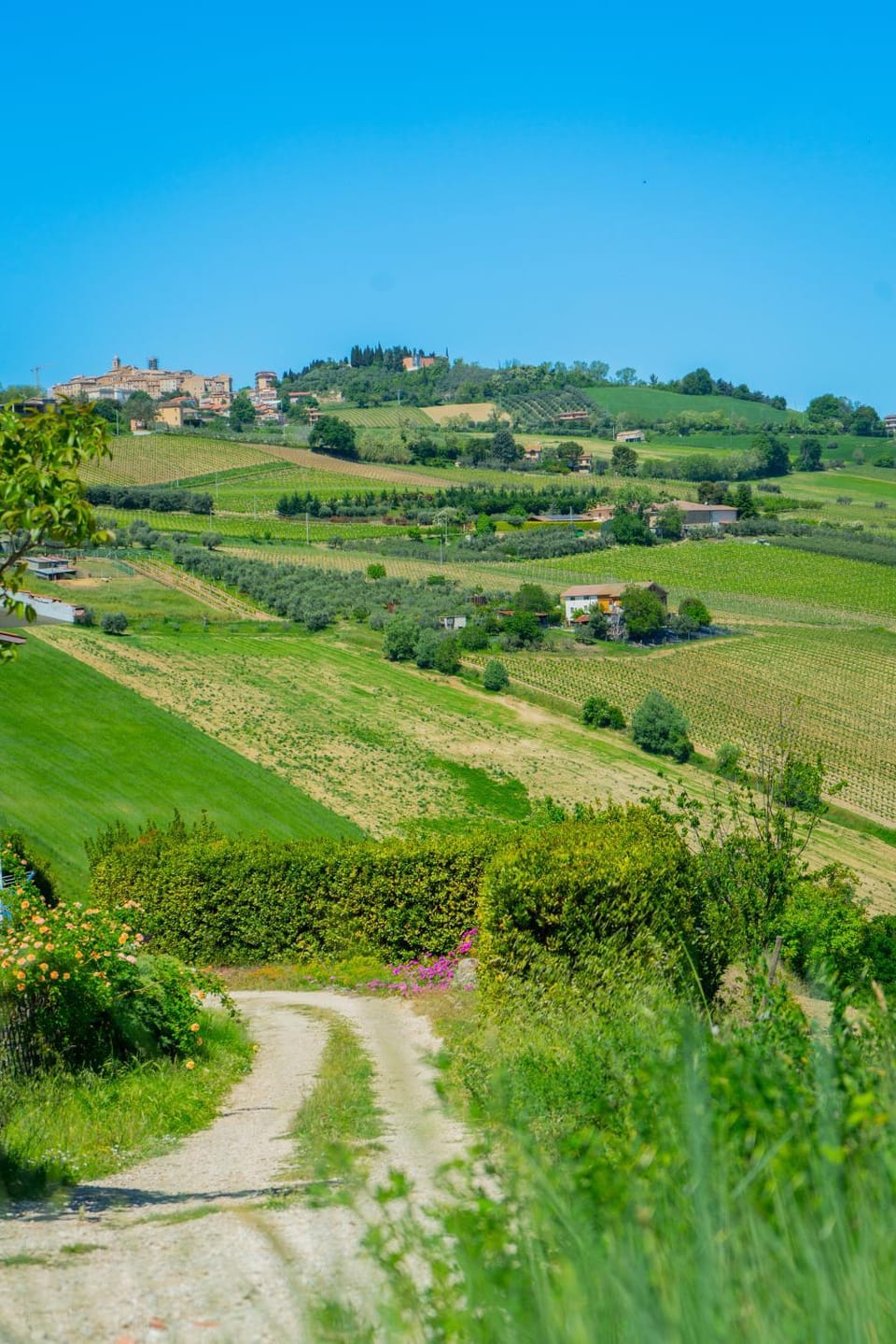 Podere Sorrentino Luxury tent in Marche