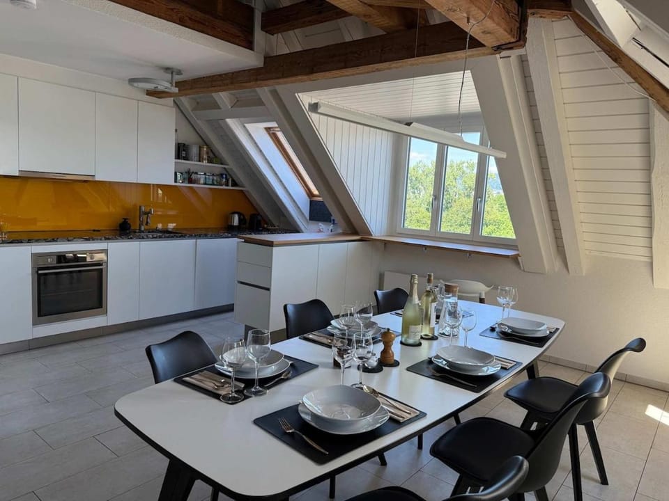 Lake Zurich Attic with Parking and View Apartment in Zurich City