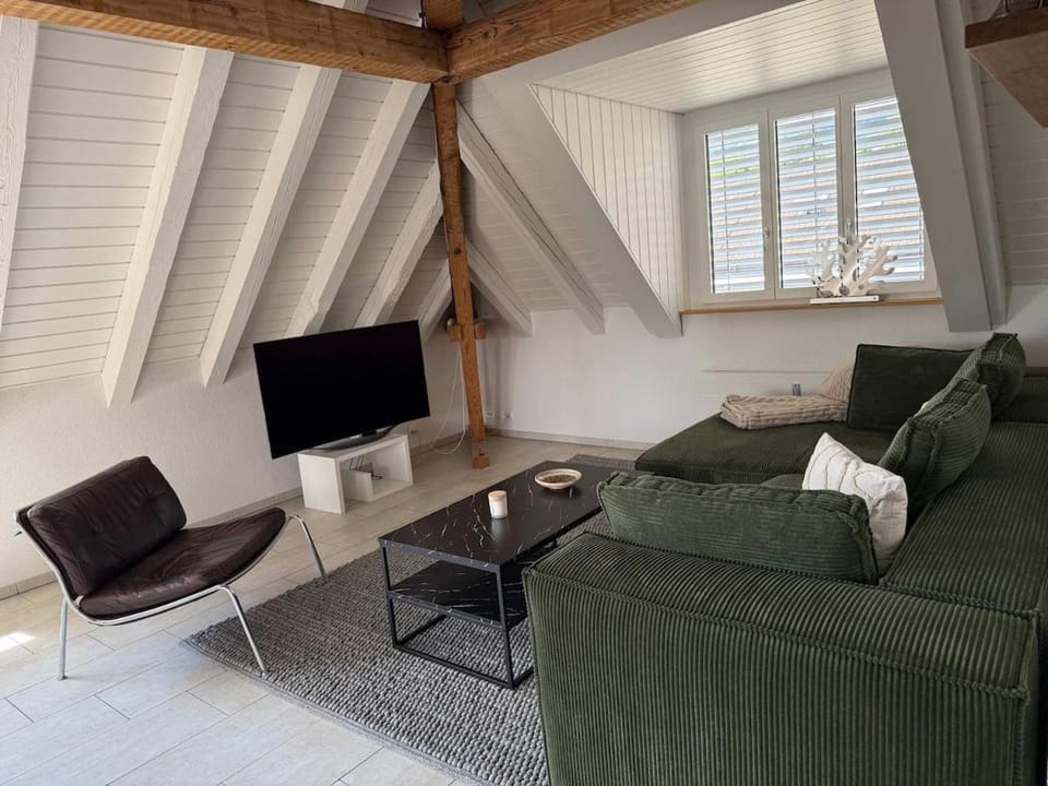 Lake Zurich Attic with Parking and View Apartment in Zurich City