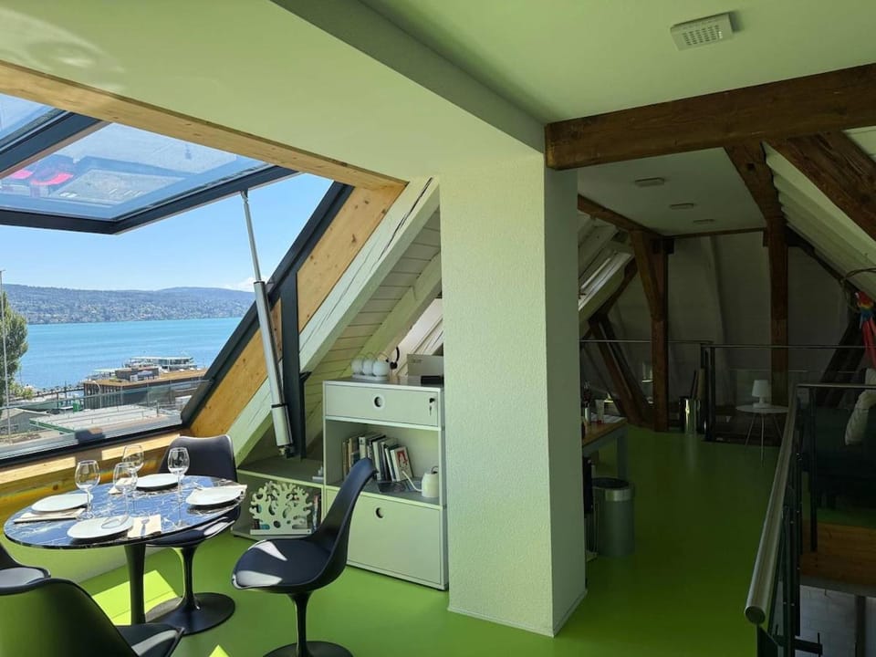 Lake Zurich Attic with Parking and View Apartment in Zurich City