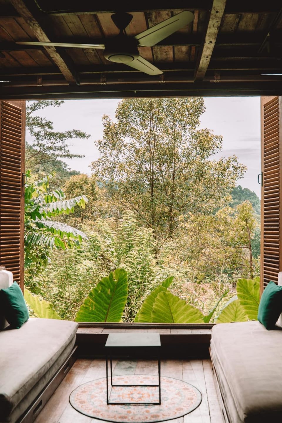 Garden view