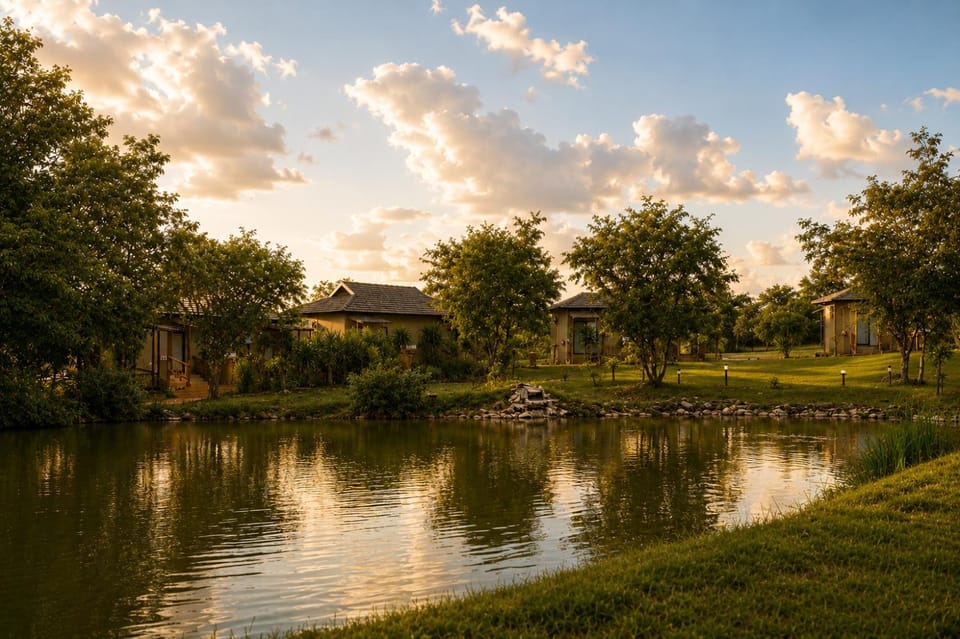 Natural landscape, Lake view