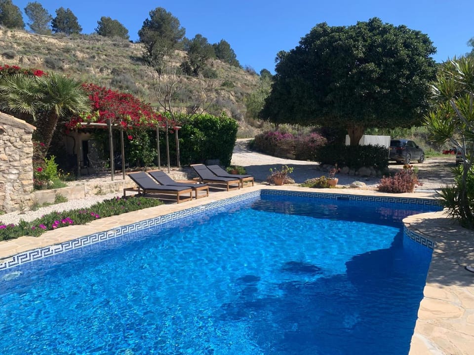 Natural landscape, Garden, Pool view, Swimming pool, sunbed