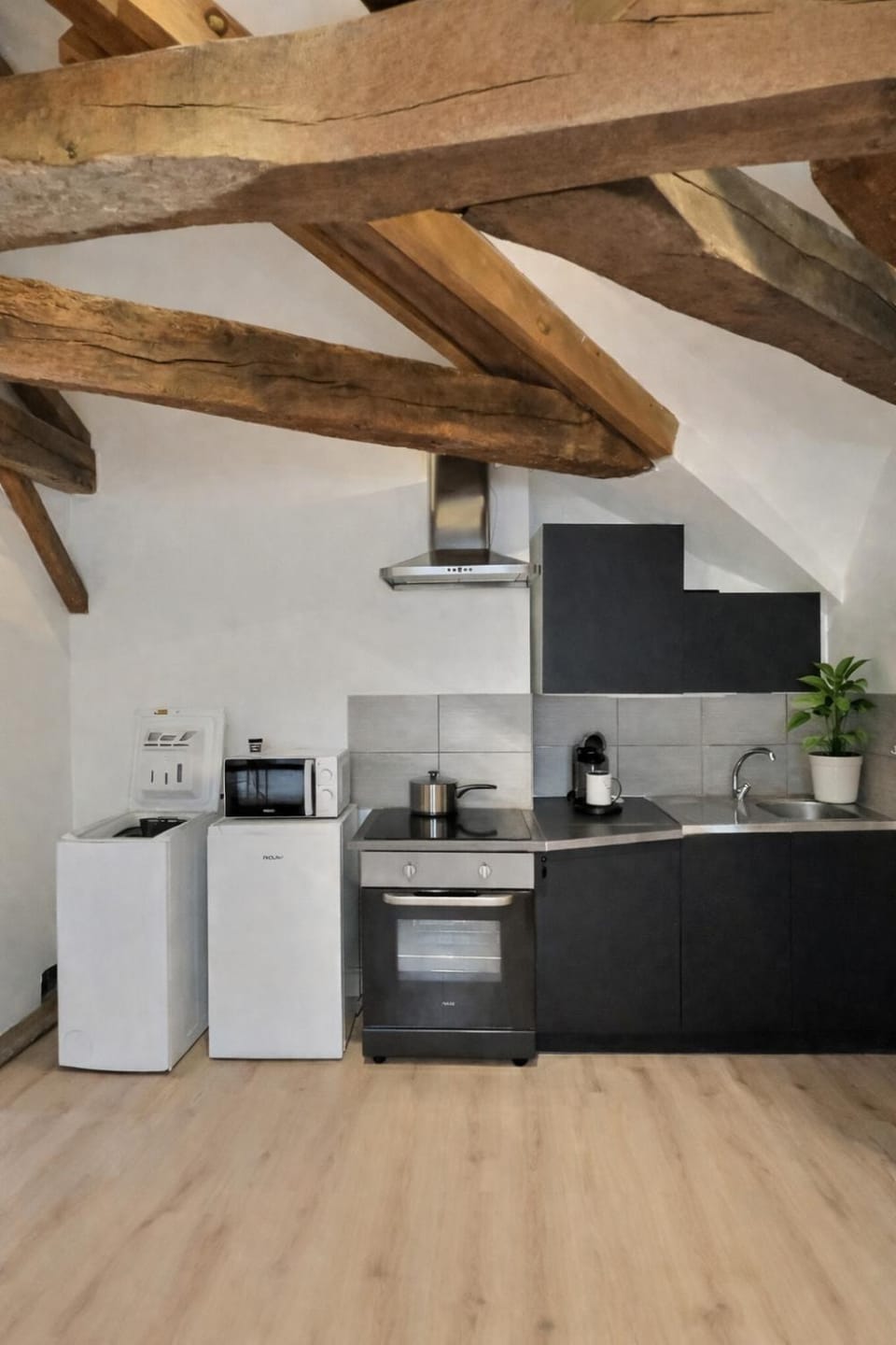 La Forêt , ideal for a couple or a stay Apartment in Auvergne-Rhône-Alpes