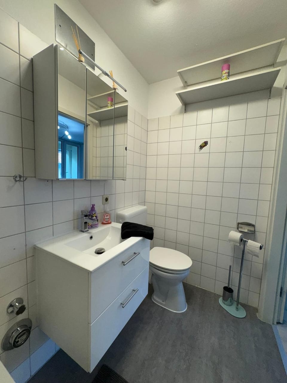 Toilet, Bathroom