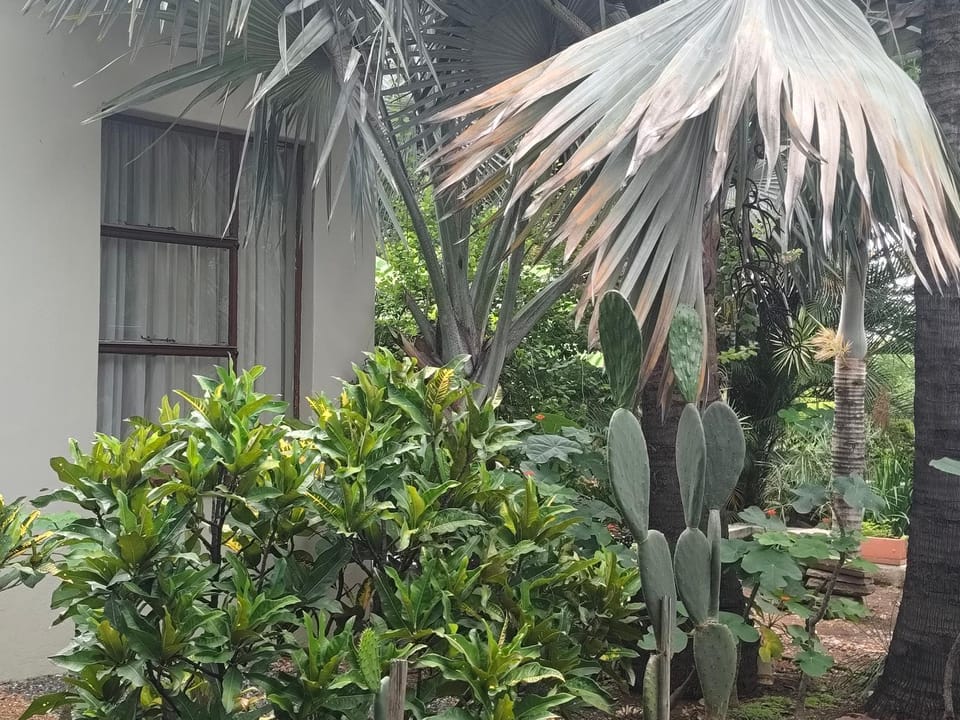 Kimba Lodge and Tours Nature lodge in South Africa