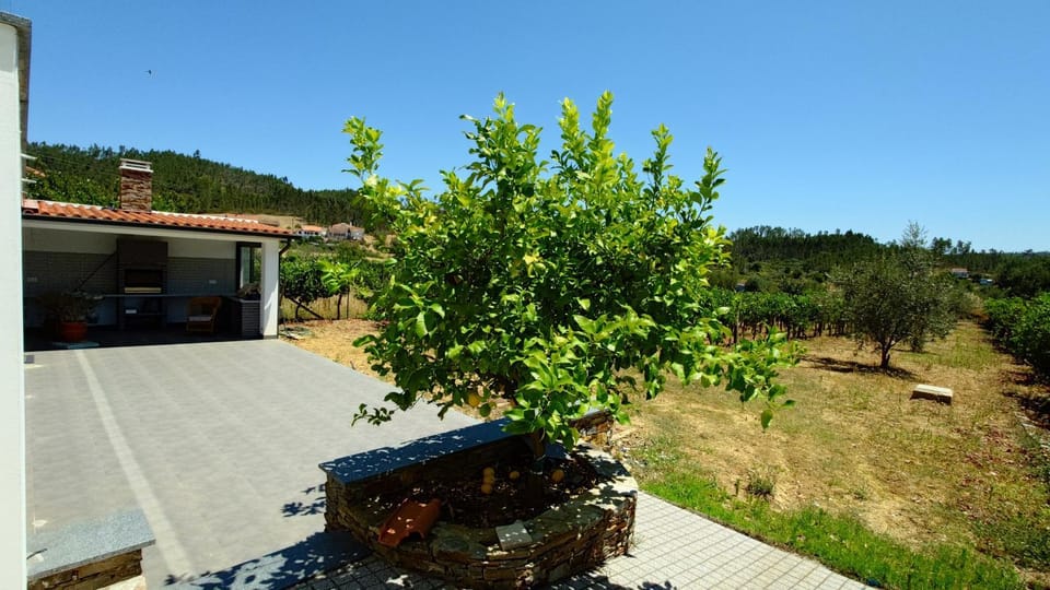 Balcony/Terrace, Garden view