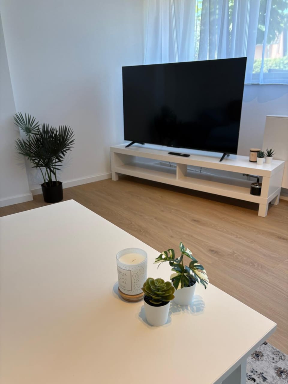 TV and multimedia, Evening entertainment