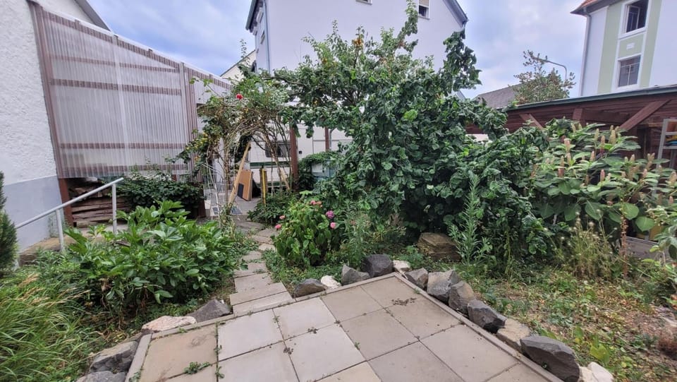 Property building, Garden, Garden view