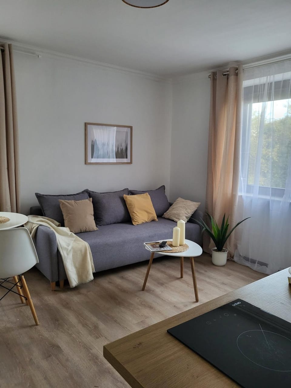 Zubrova 3-0 Apartment in Gdansk