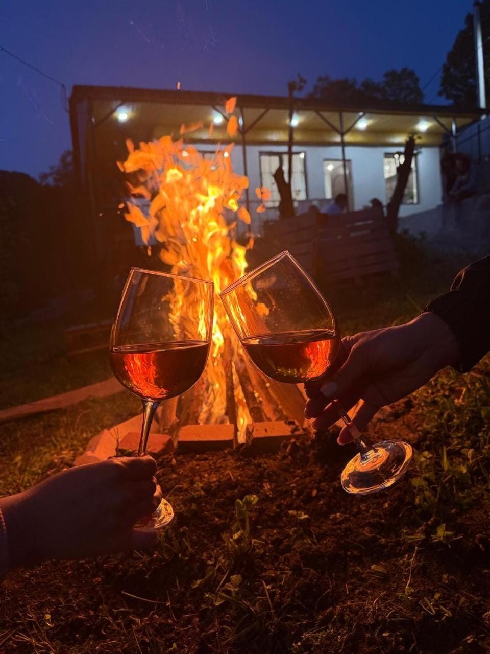 Night, group of guests