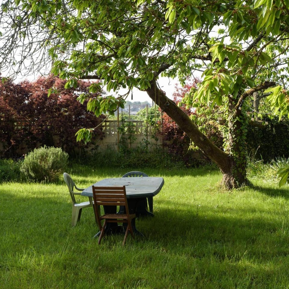 Natural landscape, Garden, Garden