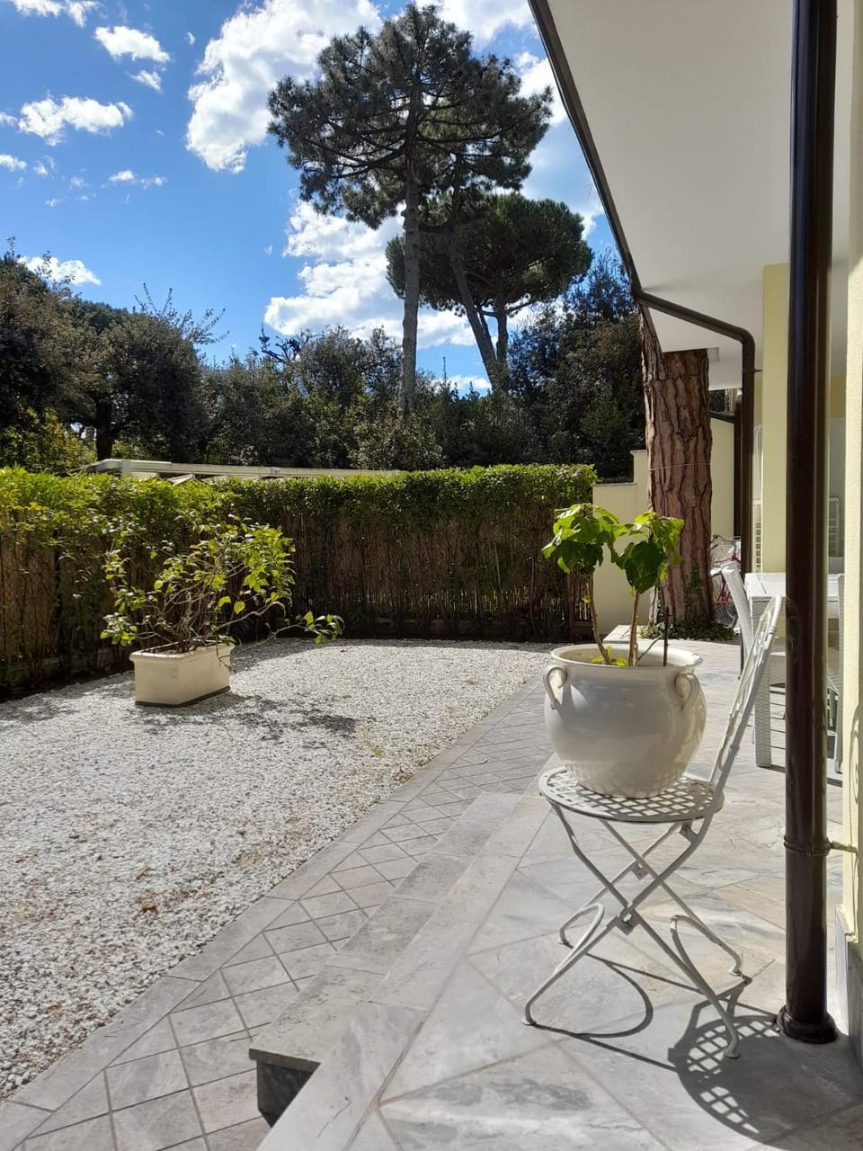 Garden view