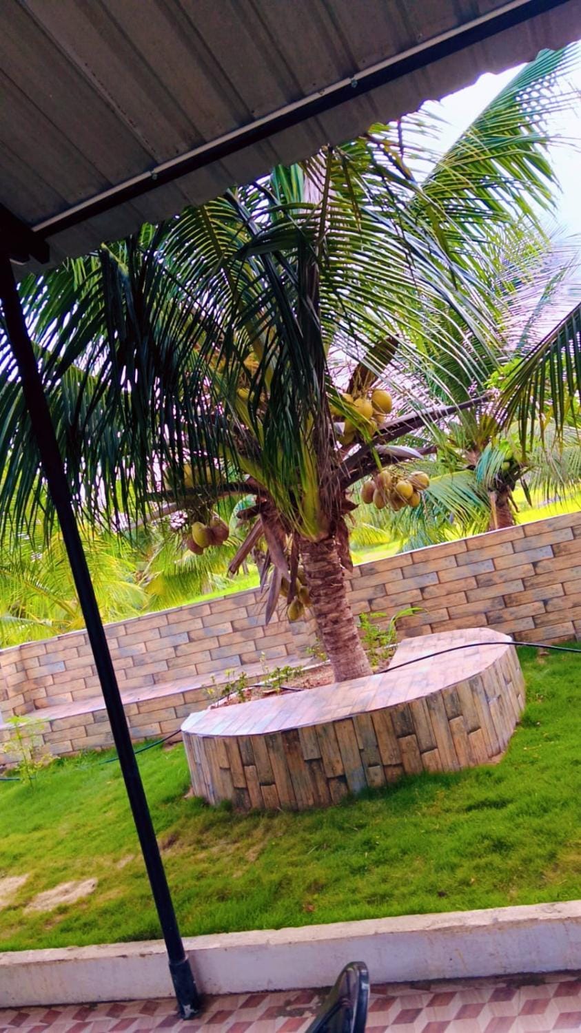 IAgri Farm - Farm House near Kanyakuamri for 1 day Campground/ 
RV Resort in Tamil Nadu