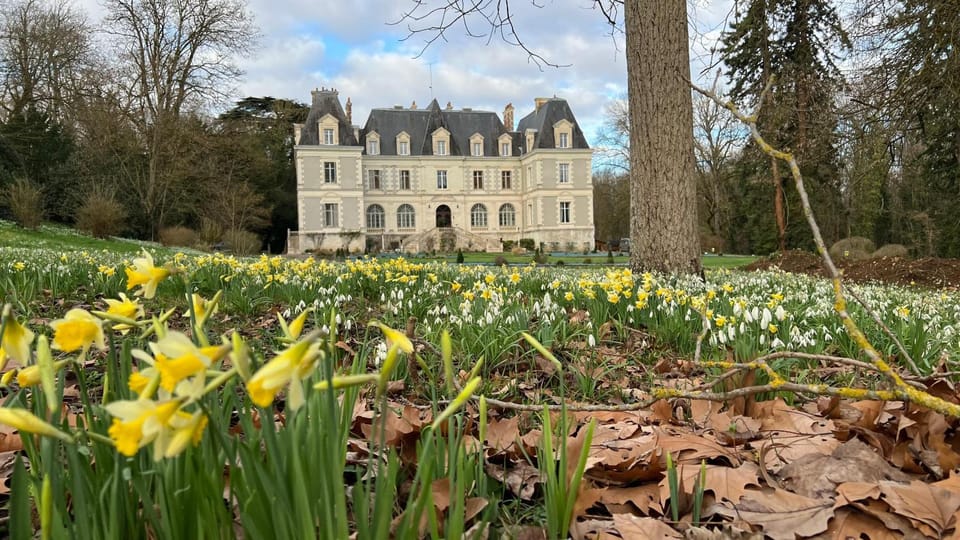 Property building, Spring, Day, Natural landscape, Garden, Garden view, Landmark view