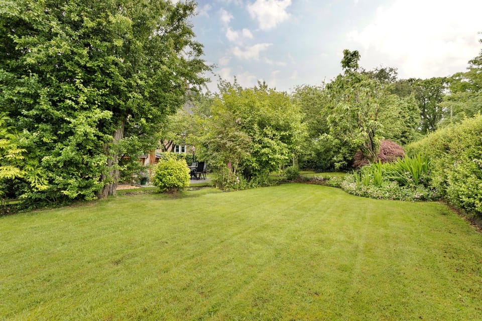 Patio, Garden, Garden view