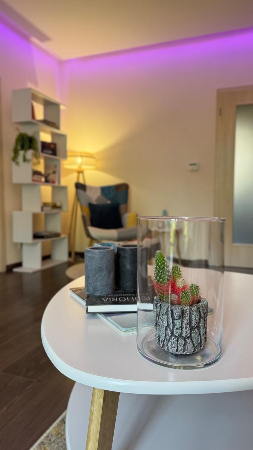 Big family and pets friendly! Old Town Gem Apartment in Bratislava