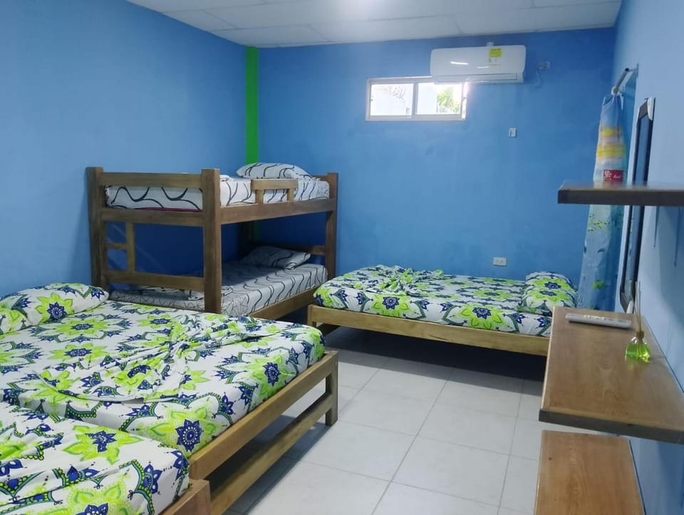Bed, Photo of the whole room, Bedroom, bunk bed