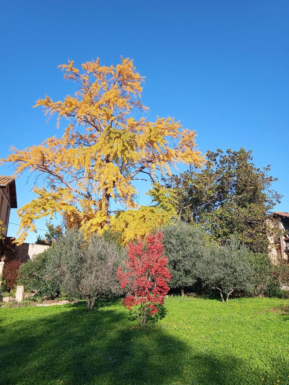 Terrasse sur la rivière Bed and Breakfast in Provence