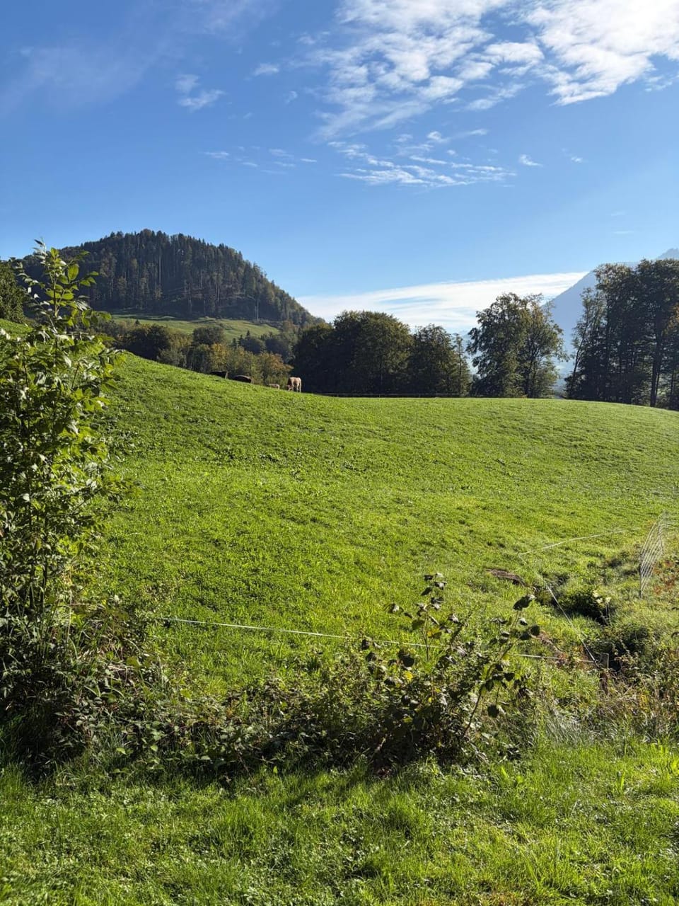 Natural landscape