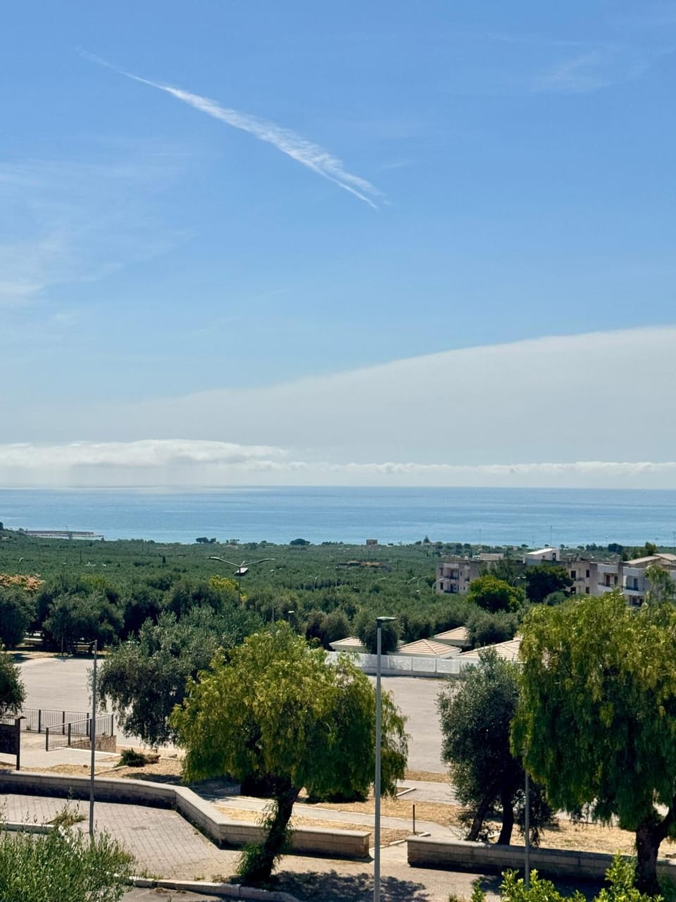 La finestra sul mare Apartment in Mattinata