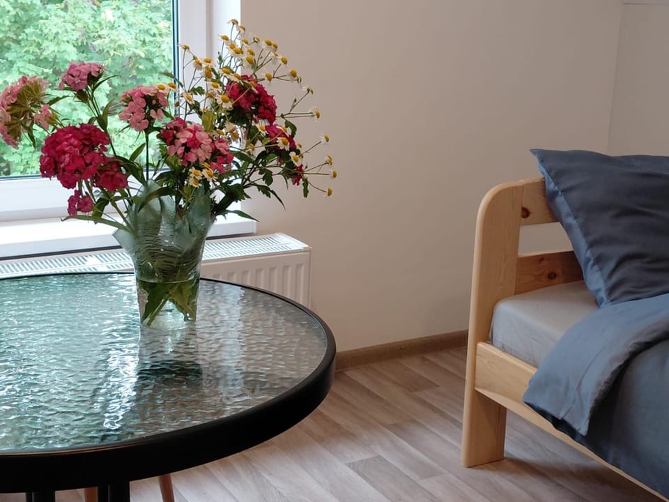 Naktsmītne Stikla kausēšanas darbnīca Bed and Breakfast in Latvia