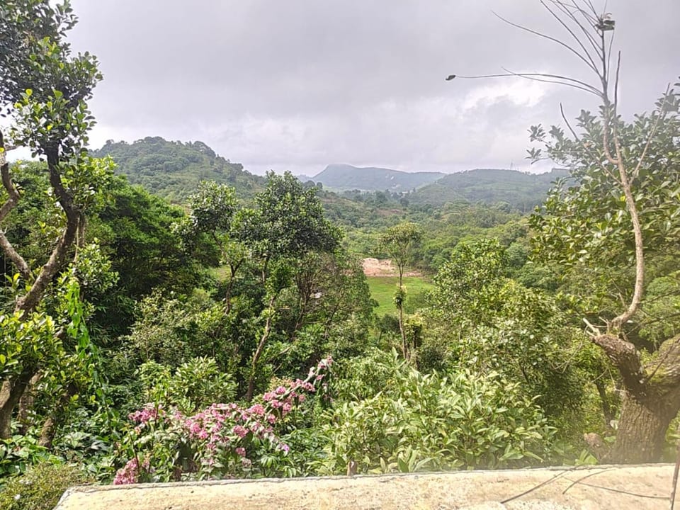 Soul Root Homestay vagamon Vacation rental in Kerala