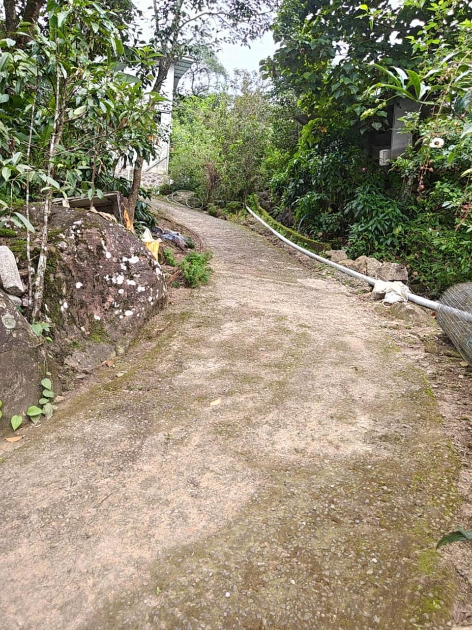 Soul Root Homestay vagamon Vacation rental in Kerala