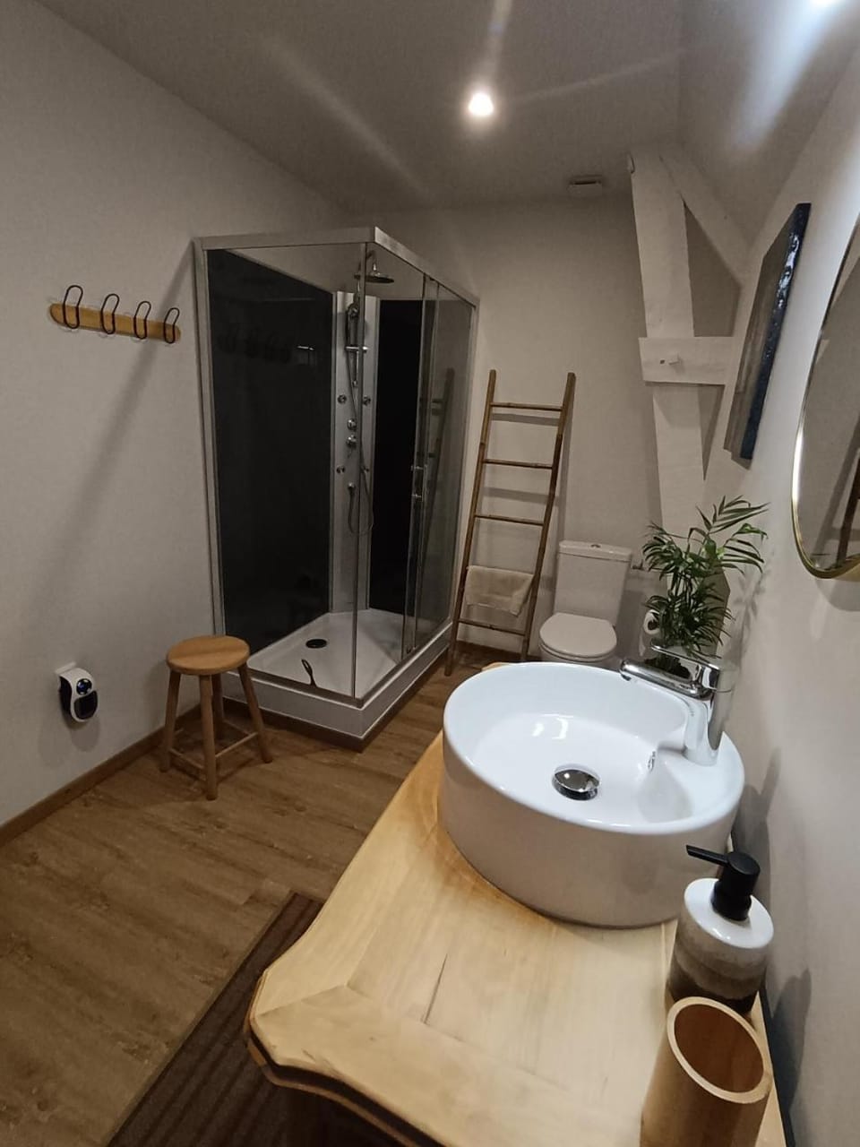 Shower, Toilet, Bathroom, towels