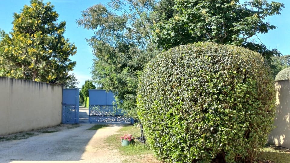 Facade/entrance, Garden