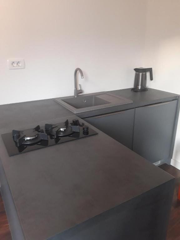 Ben Apartment in Istria County