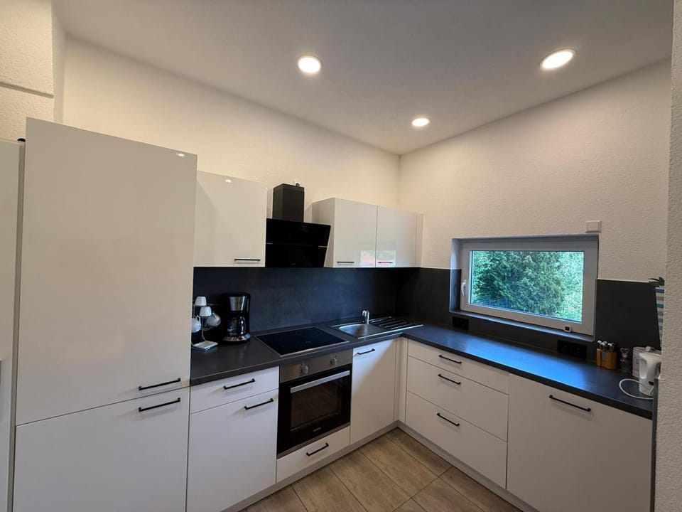 Kitchen or kitchenette, dishwasher, oven, stove