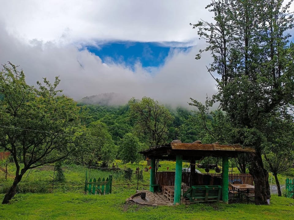 Spring, Day, Natural landscape, Garden, Garden view, Mountain view