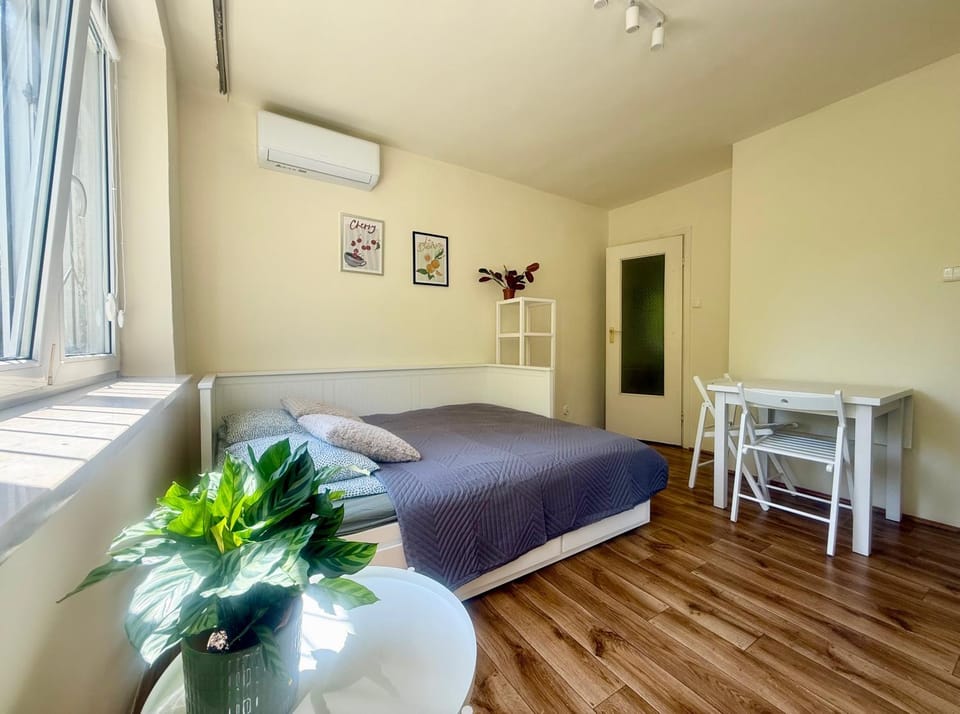 Bed, Living room, Photo of the whole room, Seating area, Dining area, Bedroom, air conditioner