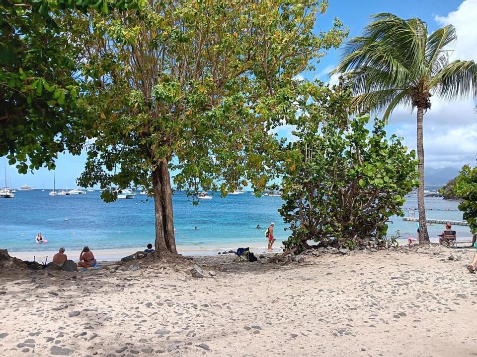 Aux Plages corail, douceur créole, plage à 100m House in Les Trois-Îlets